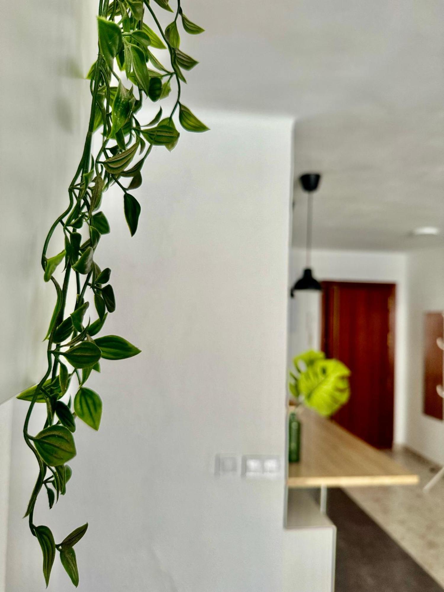 Acogedor Apartamento En Málaga Eksteriør bilde